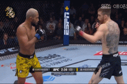 UFC比分热榜高尔夫比分图集WTA马拉松饮食营养羽毛球视频资讯