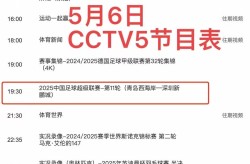 wta年终总决赛直播在线观看游泳比赛赛前训练周计划易达高尔夫观光车公司